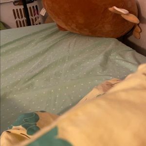 Meet your Posher, Sandra